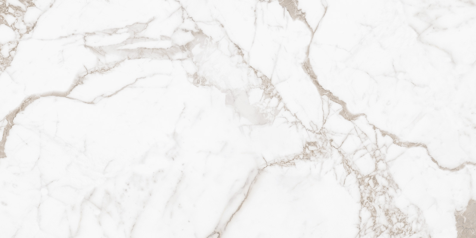 New Trend Calacatta Arabesque 600x1200