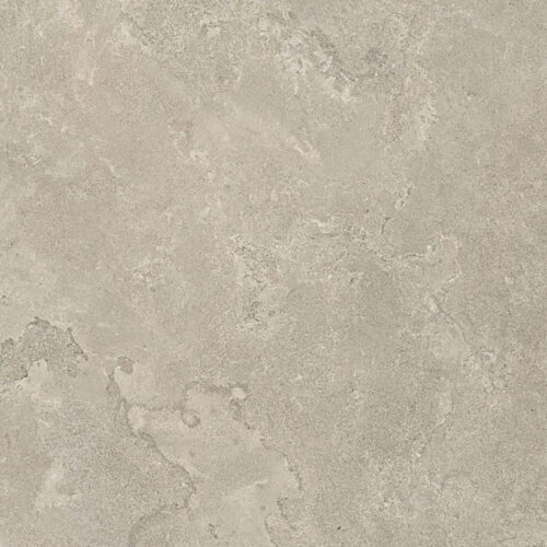 Tortora 80x80